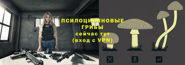 бошки Саяногорск
