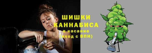 бошки Саяногорск