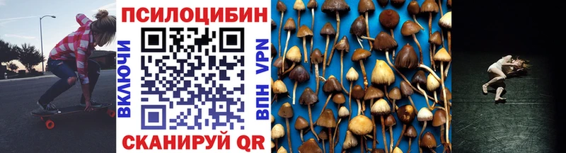 Псилоцибиновые грибы GOLDEN TEACHER  Шацк 